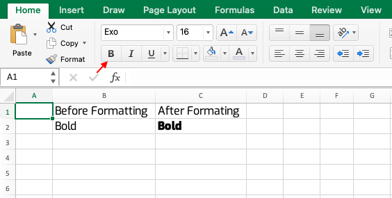 Excel Bold Format