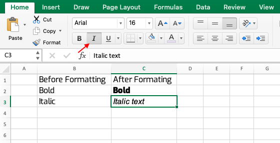 Excel Italic Format
